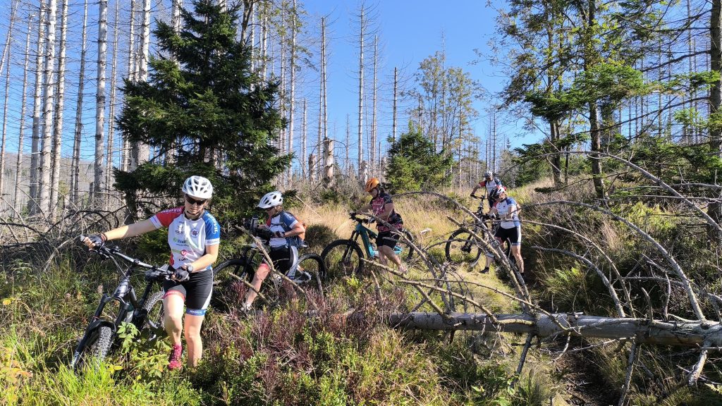 Mountainbike 2025/Wochenende "3"