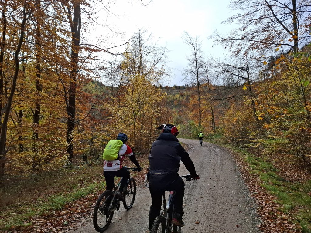 Mountainbike 2025/4 "1"