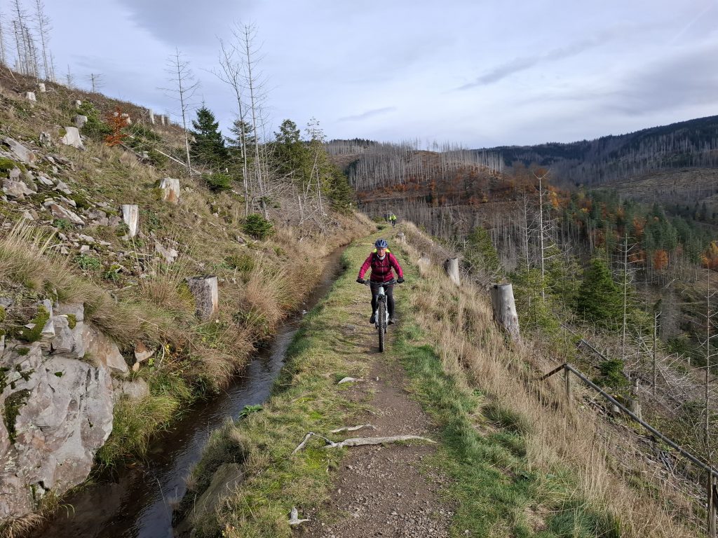 Mountainbike 2025/4 "2"