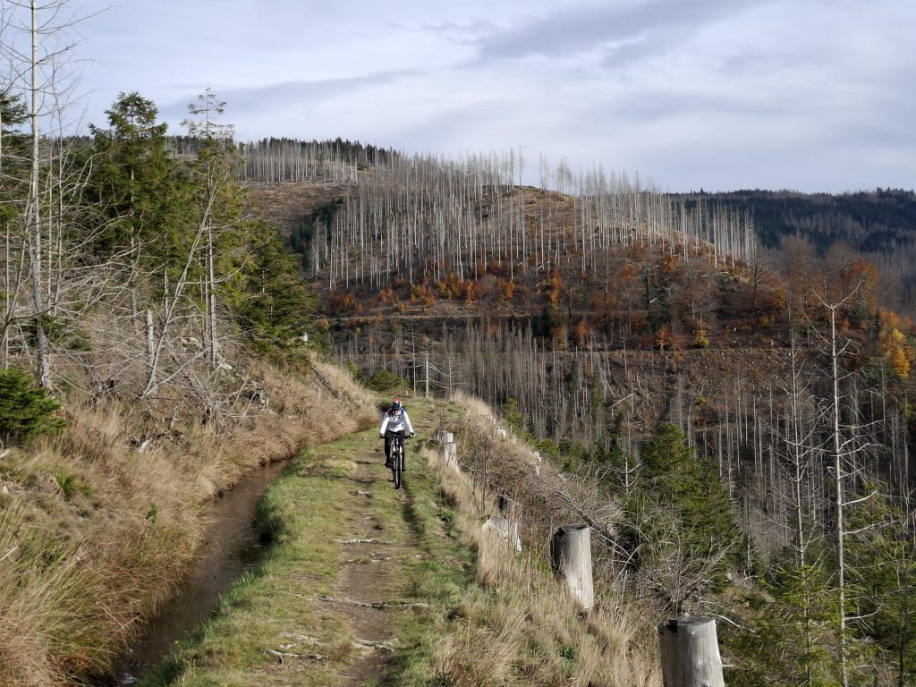 Mountainbike 2025/4 "3"