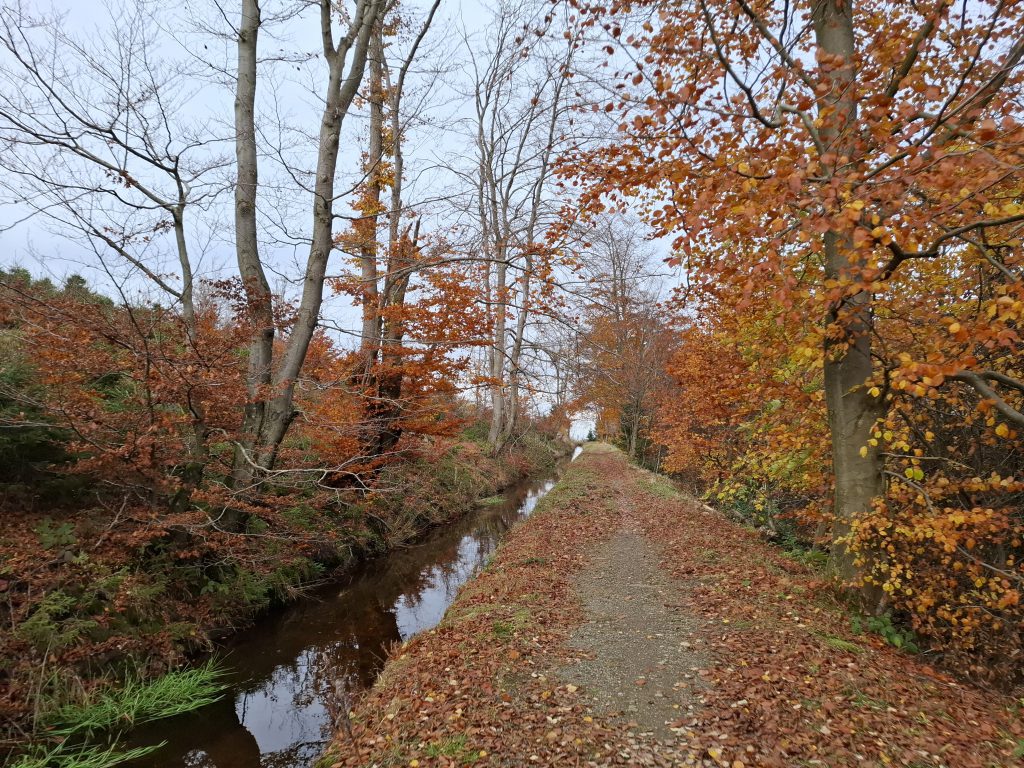 Mountainbike 2025/4 "4"