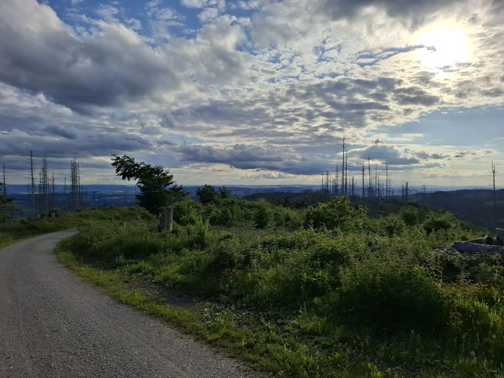 Mountainbike 2026/3 "8"