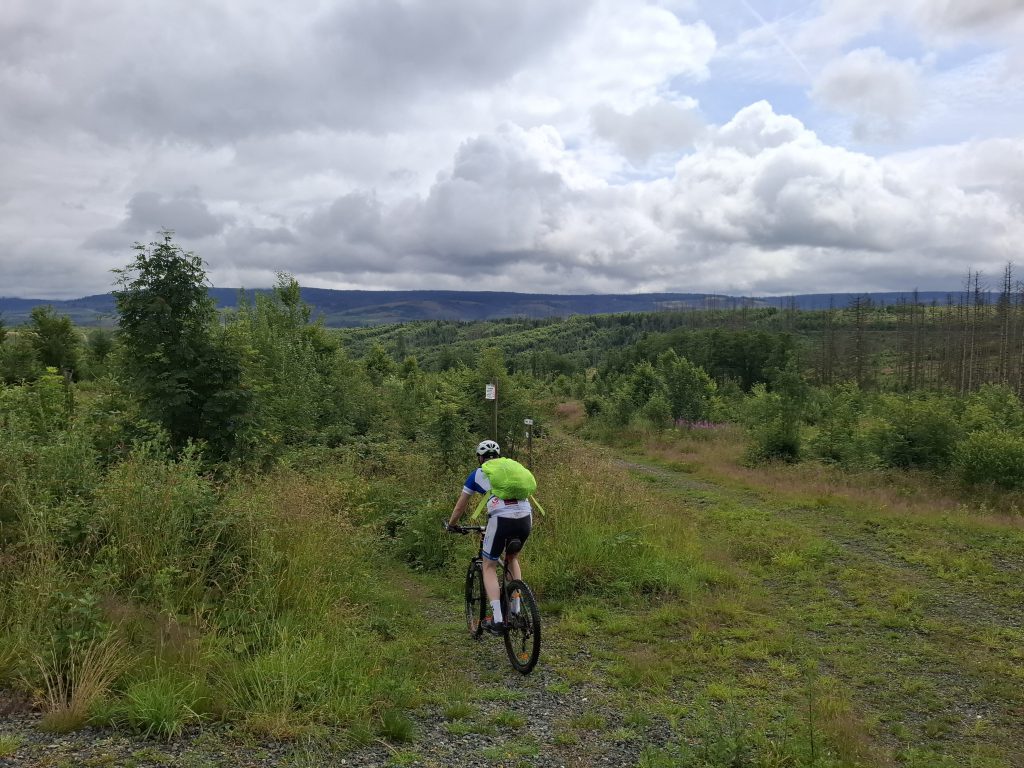 Mountainbike 2026/4 "2"