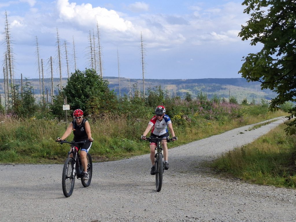 Mountainbike 2026/5 "2"