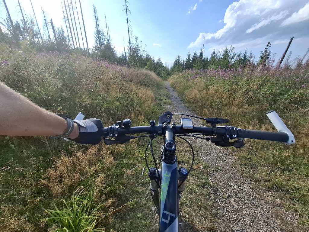 Mountainbike 2026/5 "3"
