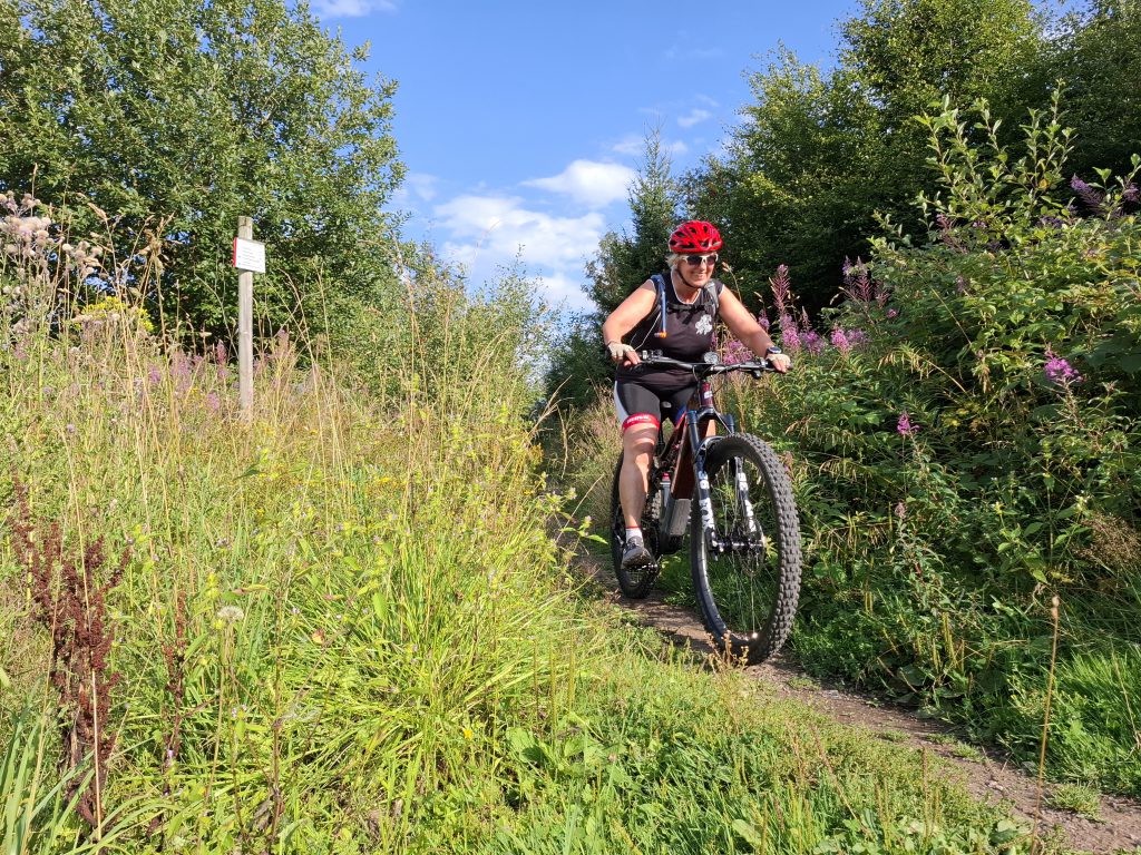 Mountainbike 2026/5 "5"