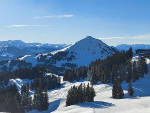 Skiurlaub 2022 "10j"