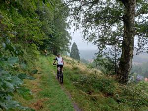 Mountainbike 2024/Wochenende 23