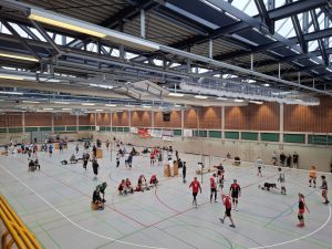Volleyballturnier 2025 24