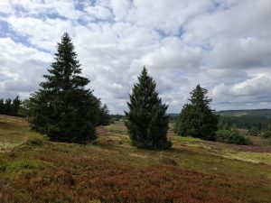 Mountainbike 2026/Wochenende 28