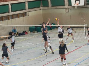 Volleyballturnier 2025 39