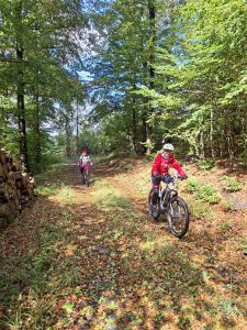 Mountainbike 2026/Wochenende 17